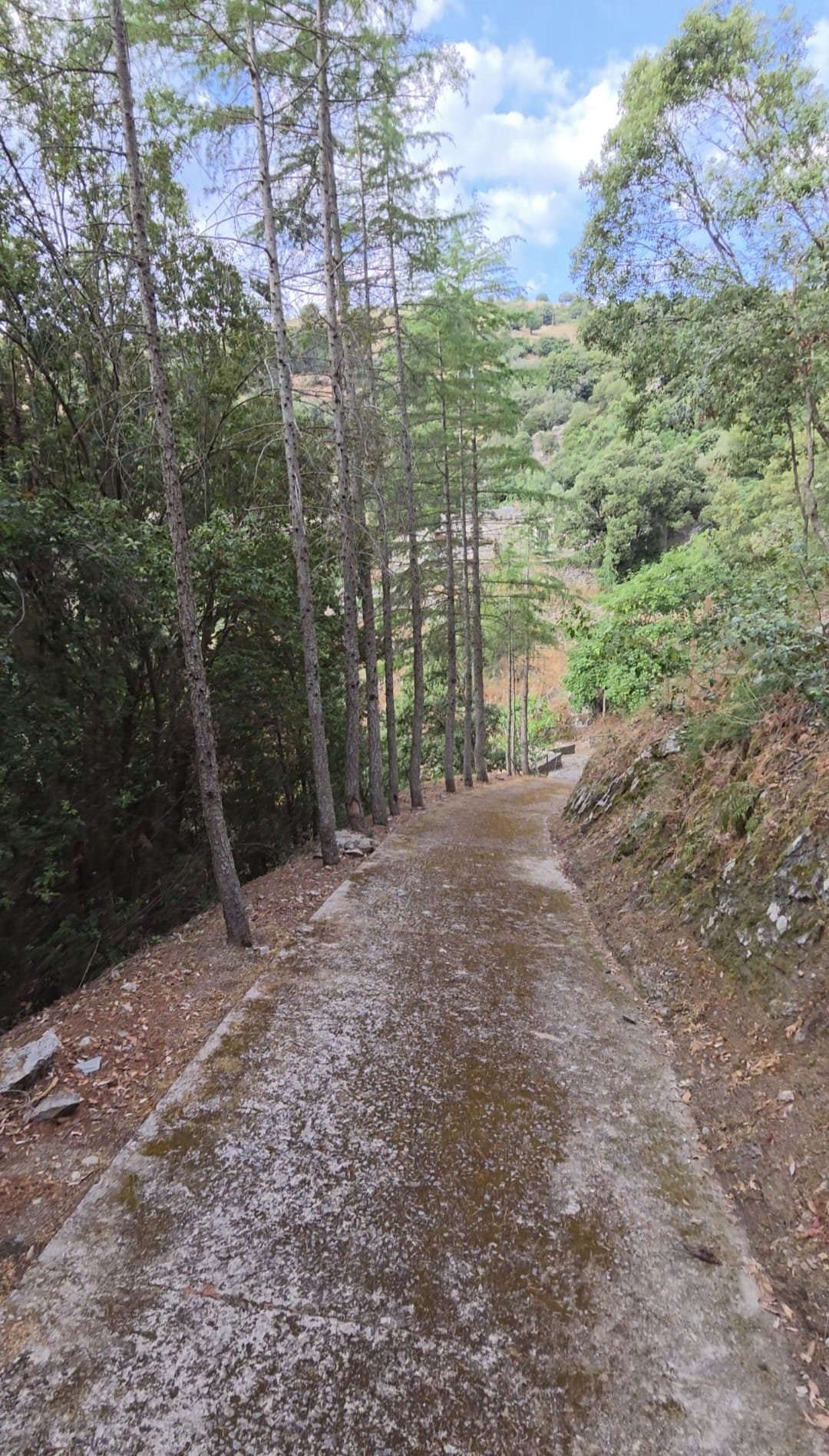 sentiero alla fonte